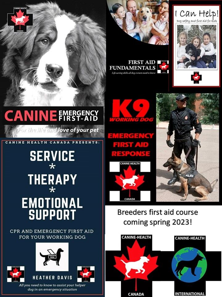 Can We Take Our Dog To Canada